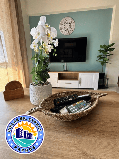Tulip – 6