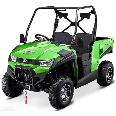 Two-Seater Buggy 450 cc buggy rental in Cyprus